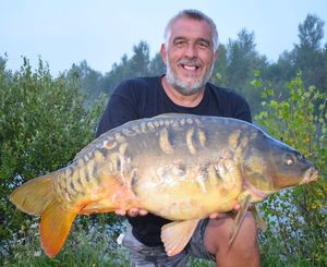 Mirror Carp