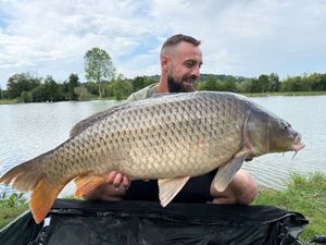 Common Carp