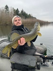 Northern Pike