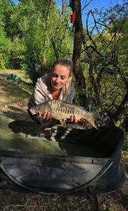 Mirror Carp
