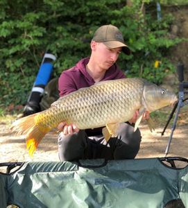 Common Carp