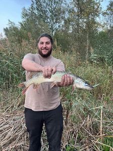 Northern Pike