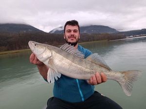 Zander