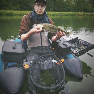 Zander