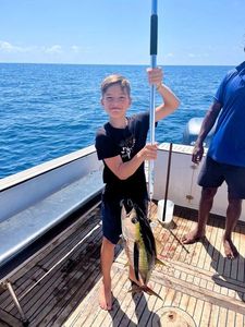 Yellowfin Tuna