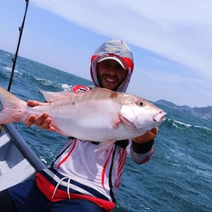 Mutton Snapper
