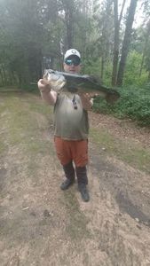 Largemouth Bass