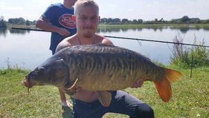 Mirror Carp