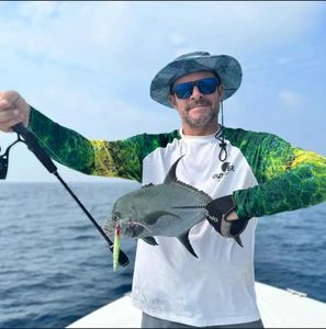 Blue Spotted Trevally