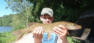 Northern Pike