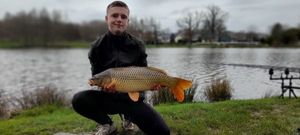 Common Carp