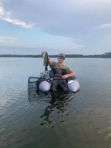 Largemouth Bass