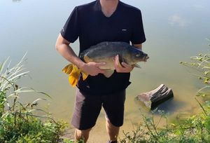 Leather Carp