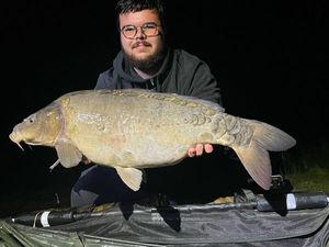 Common Carp