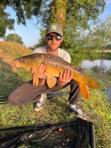 Mirror Carp