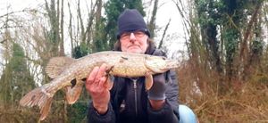 Northern Pike