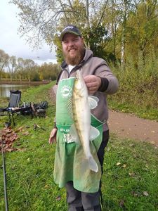 Zander