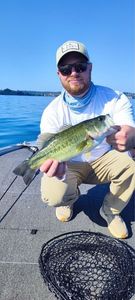 Largemouth Bass