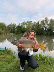 Mirror Carp