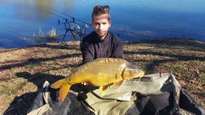 Mirror Carp