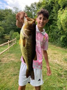 Largemouth Bass