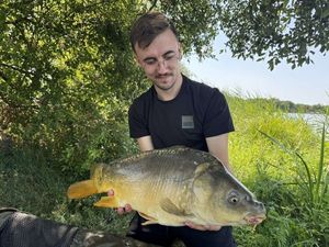 Mirror Carp