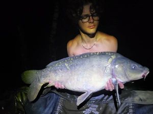 Mirror Carp