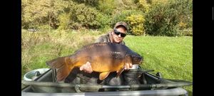 Mirror Carp