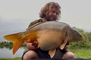 Mirror Carp