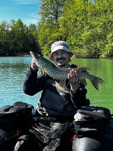 Northern Pike