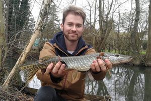 Northern Pike