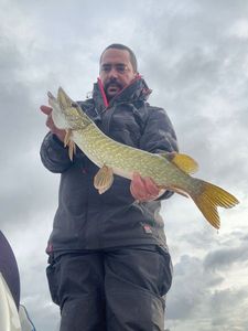 Northern Pike