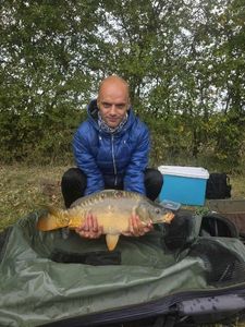 Mirror Carp