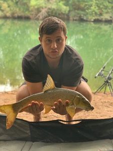 Barbel