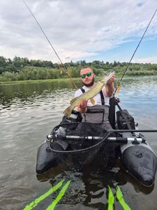 Northern Pike