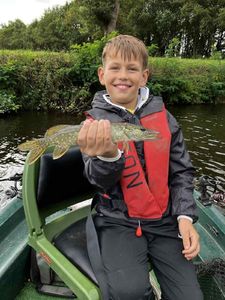 Northern Pike