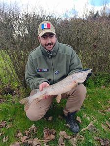 Northern Pike