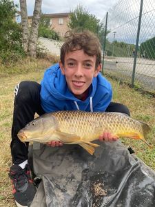 Common Carp