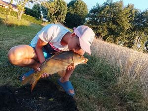 Mirror Carp