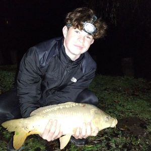 Mirror Carp
