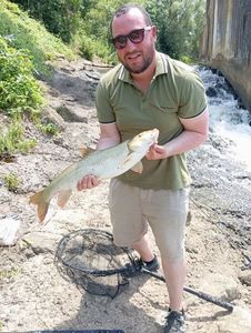 Barbel