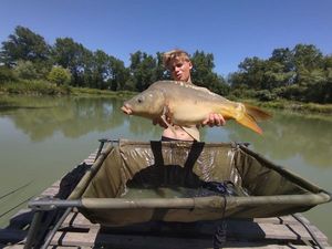 Mirror Carp