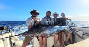 Blue Marlin (Atlantic)