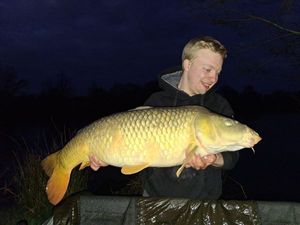 Common Carp