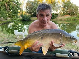 Mirror Carp