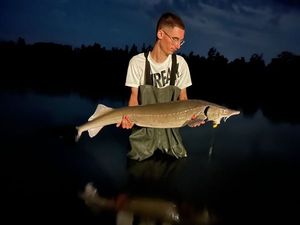 Sturgeon