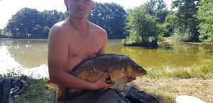 Mirror Carp