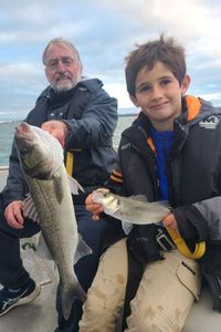 European Bass (Seabass)