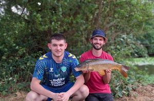 Common Carp