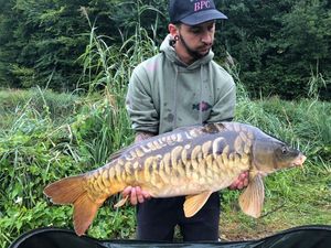 Mirror Carp